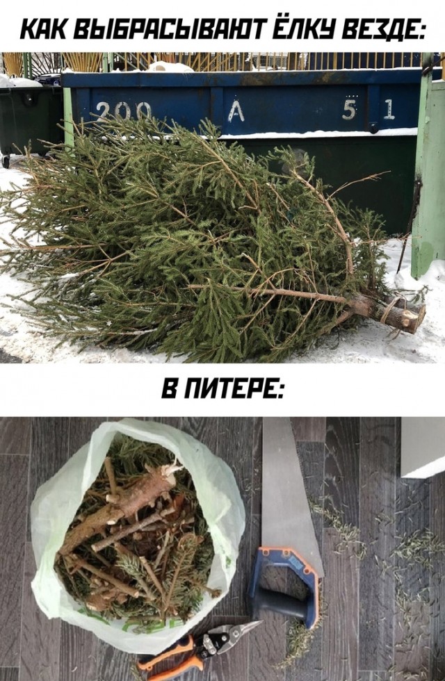 Так себе картинки 28.12.24