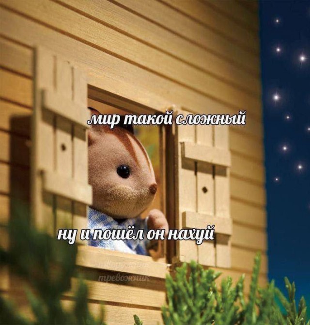 Всего понемногу. От 20.01.2025
