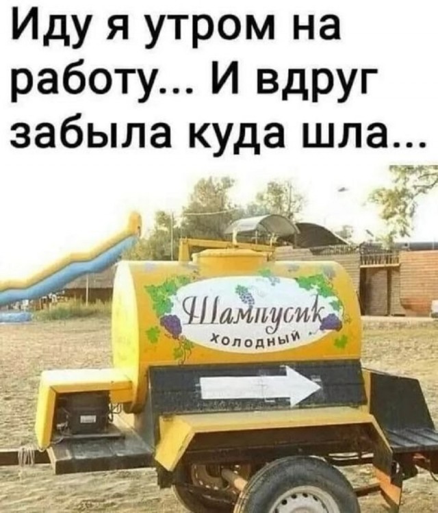 Так себе картинки 29.07.25