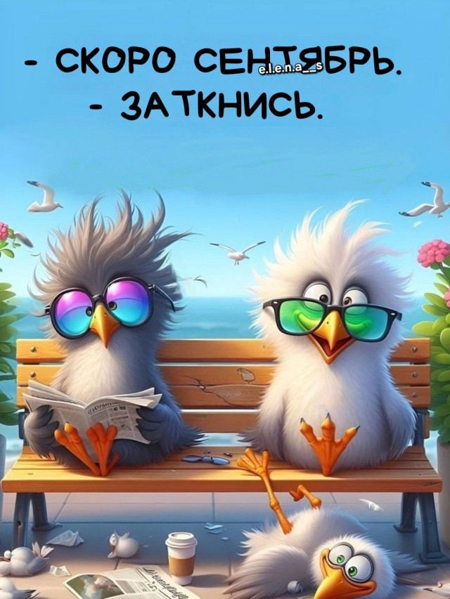 Прикольные и просто красивые картинки 29.08.2025