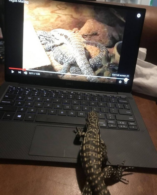 ФотоВинегрет