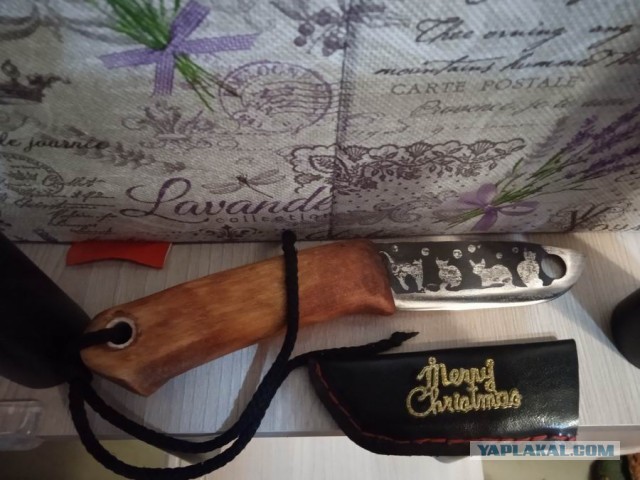 Кошачий нож