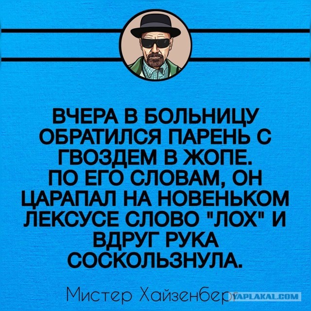 Веселые картинки в понедельник (24.11)