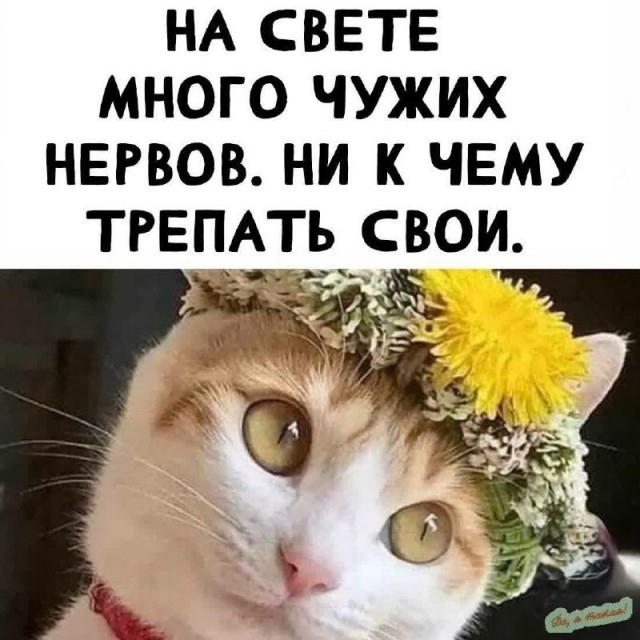 Среды картинки