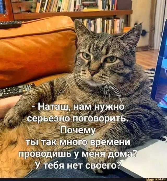 Воскресные картинки