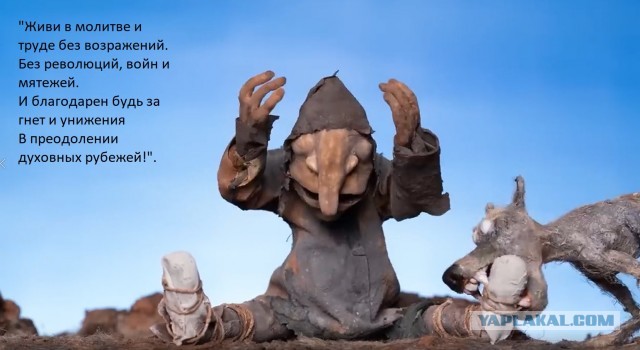 Артемия Лебедева  массово критикуют в соцсетях из-за слов о бездомных собаках