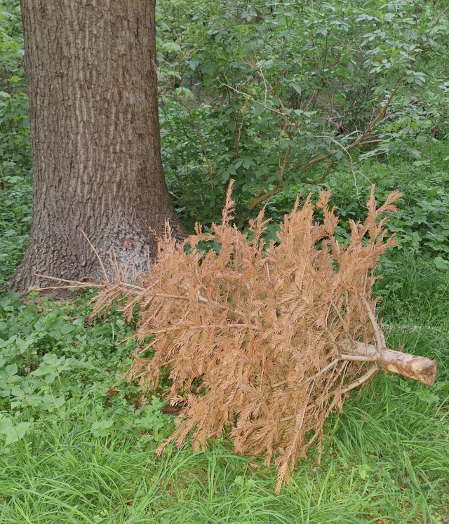 Ещё один сдался