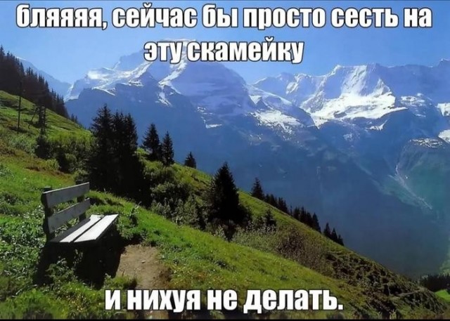 Картинки для деградации 218 (разной степени свежести)