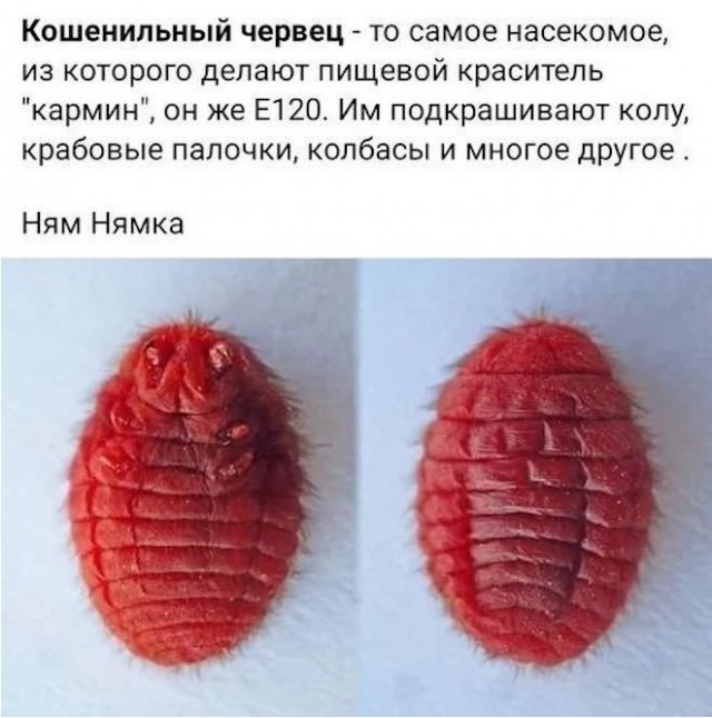 Картинки на среду