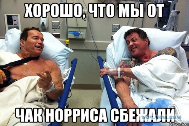 Бой года: Сталлоне vs Шварцнеггер