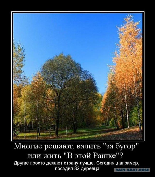 А Матроскин прав