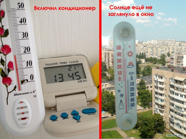 Солнечная сторона лета 2010 года