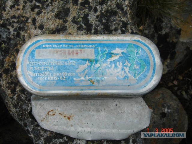 Отчет Банды маргиналов или трэш на Северах