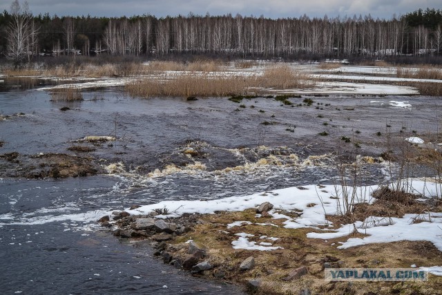 Припять. Смотреть, нельзя трогать - 2