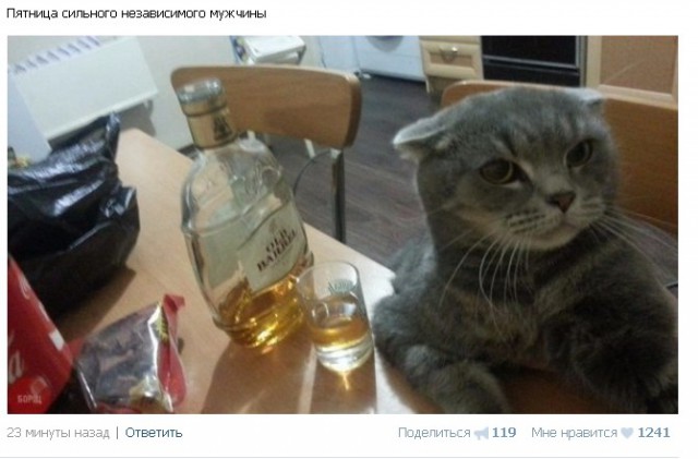 Ужасы и приколы из соцсетей 18+