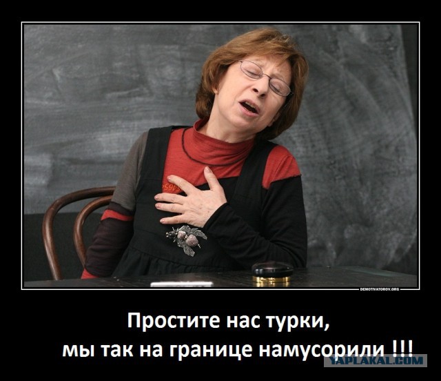Самые жесткие высказывания о сбитом Су-24