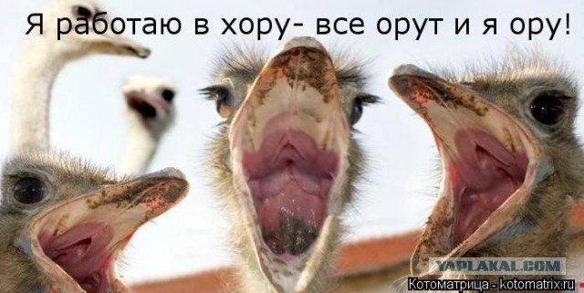 Шокирующие кадры из Европы