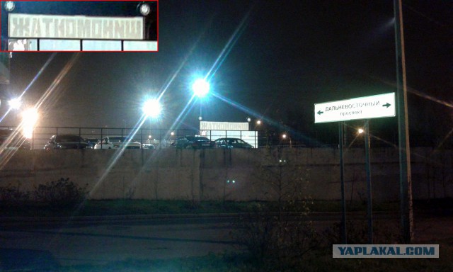 Подборка забавных картинок