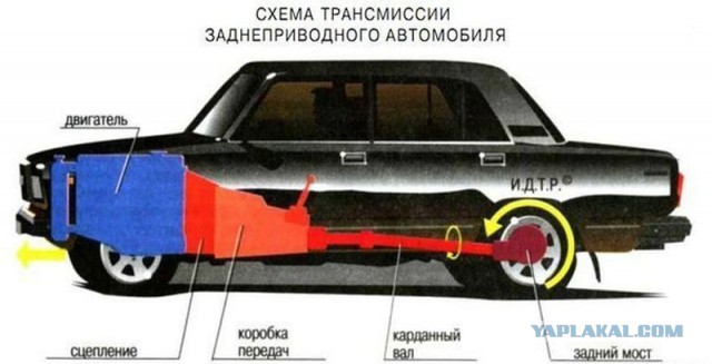 15 звезд, выступающих против сексуальных меньшинств