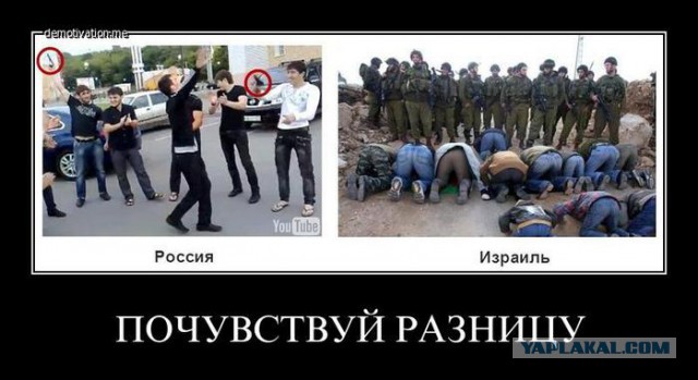 Чеченская свадьба в Туре (Франция)