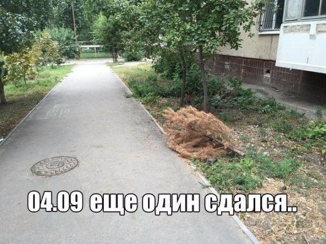 Небольшая подборка разного из сети.