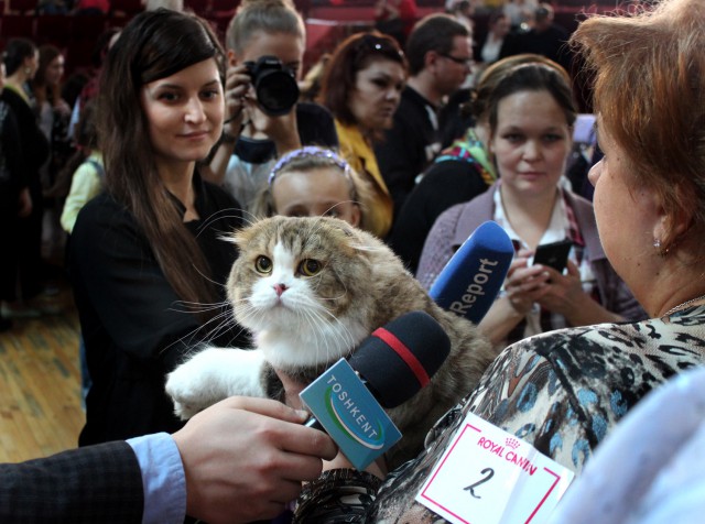 «Осенний Кошкент-2016»