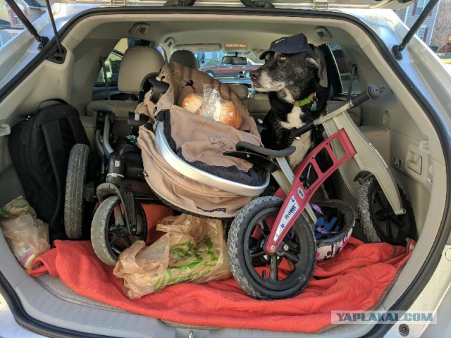 Барнаул. Вид из окна.