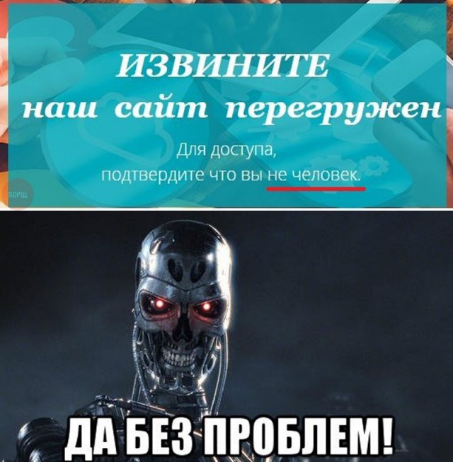 Смешные картинки