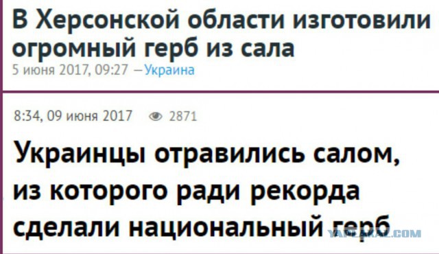 Прикольные картинки 20.06.2017.