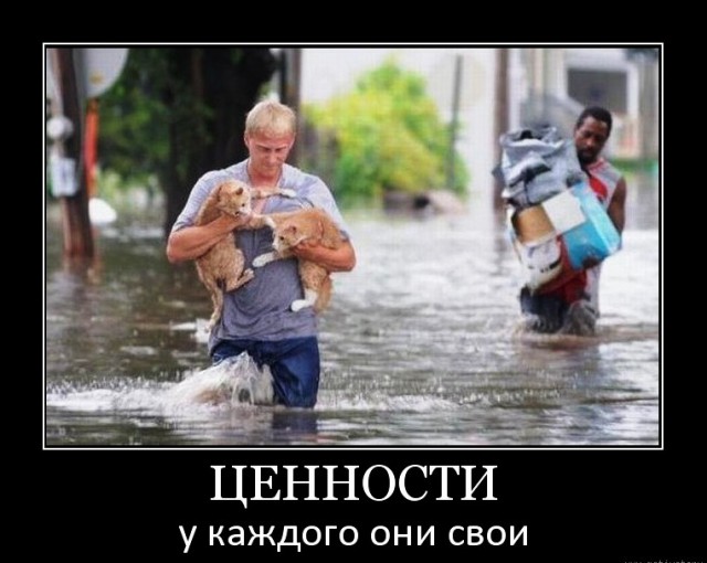Пpиготовиться прикрывать Пегаса!