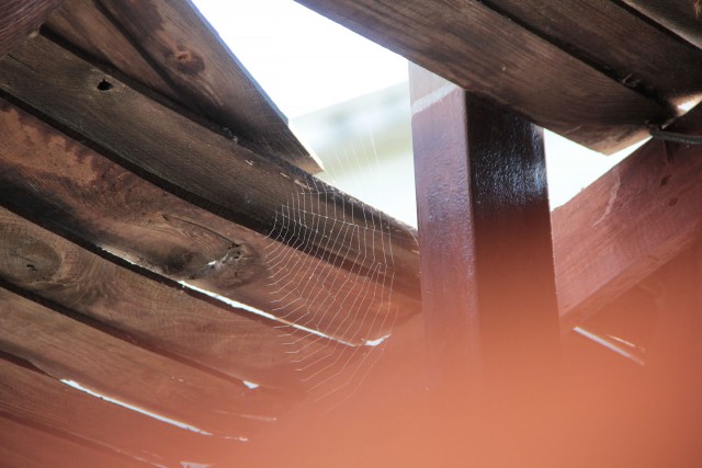 Просто Природа