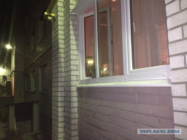 Котовторник  23.01.2018
