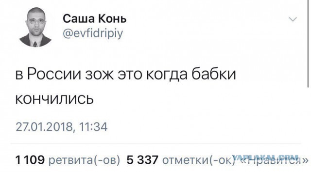 Телеграм саша конь