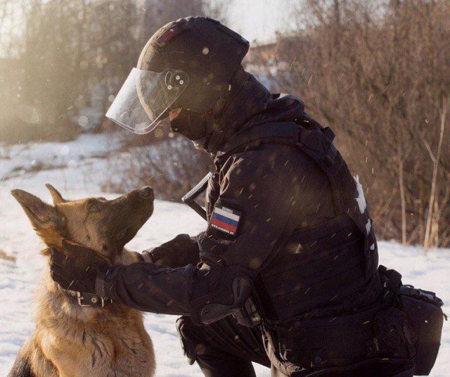 Живность из сети