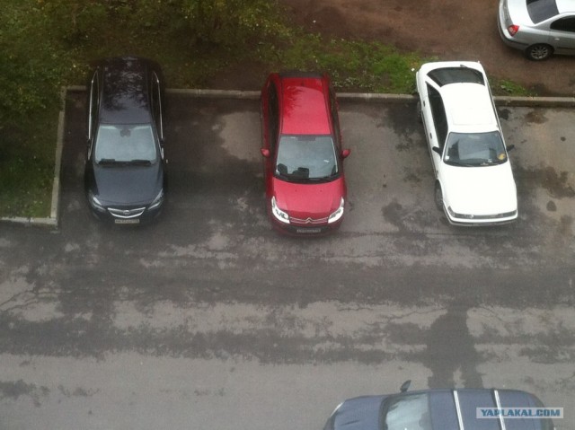 Паркуюсь как хочу!