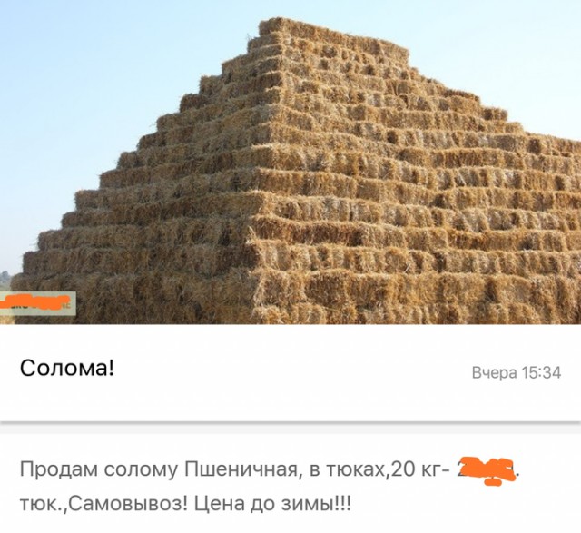 Тайны Храма Сети