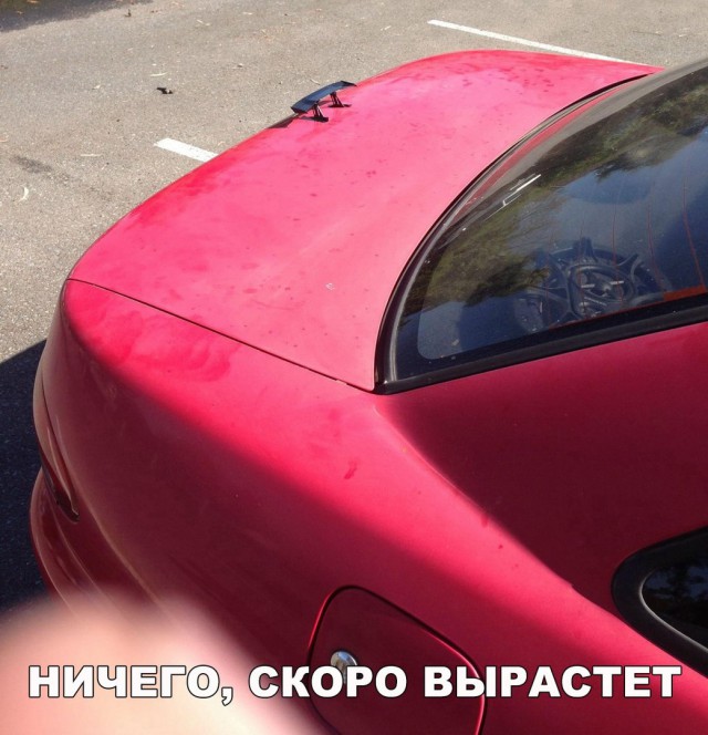 Нестандартный юмор