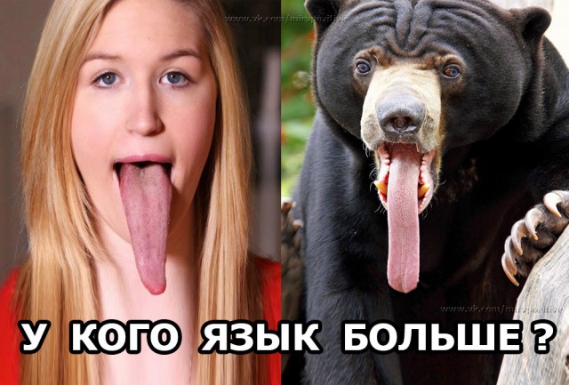 АнДиградаунт