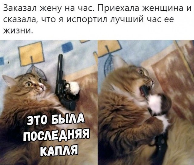 Немного картинок для настроения