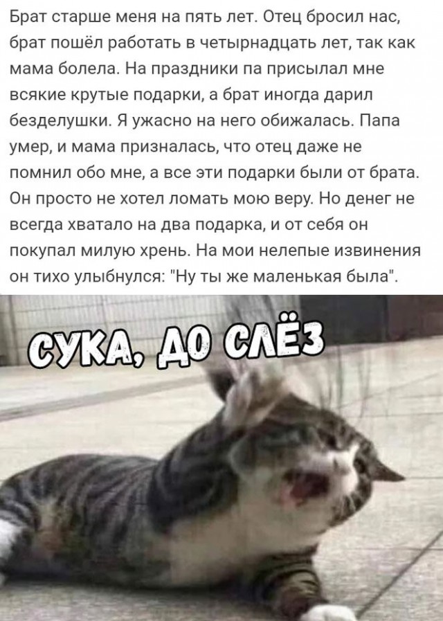 Немного картинок для настроения