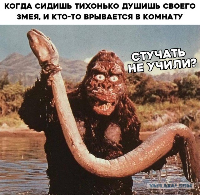Что-то пошло не так... +18