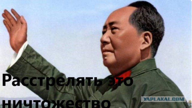 Орешкин примером живущих без пенсий китайцев призвал Россию жертвовать настоящим