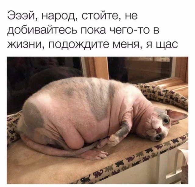 Картинки с надписями, истории и анекдоты 05.11.19