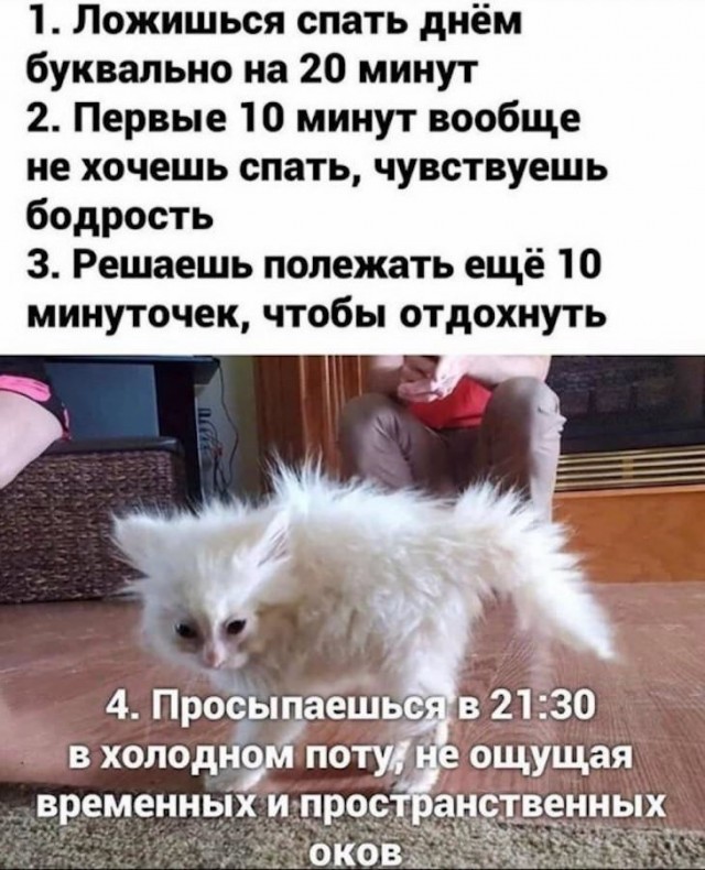 Немного картинок для настроения 10.02.20