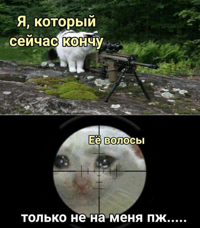 На те же грабли