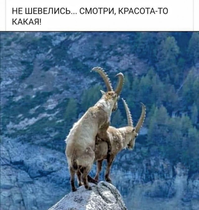 Немного картинок для настроения 16.07.20