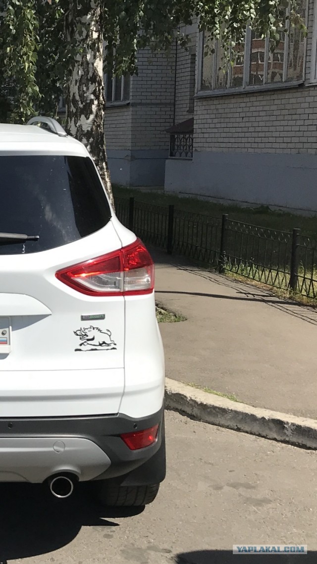 Ваше отношение к предупреждениям на машинах