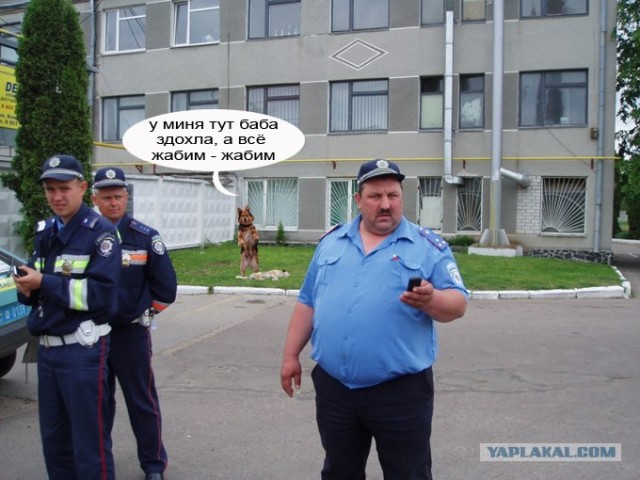 Фотожаба:На связи