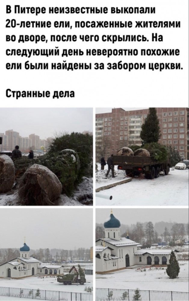 Картинок пост на сон грядущий