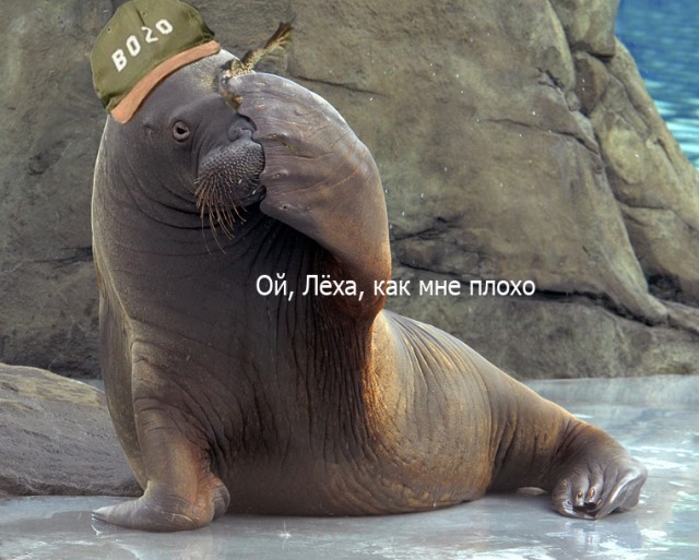 Фотожаба: Беги-и-и-и!